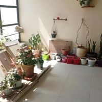 رهن-و-اجاره