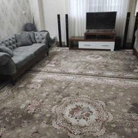 فرش ۹ متری پاتریس رنگ  نسکافه ای|فرش|گنبد کاووس, |دیوار