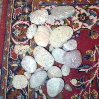 سنگ رودخانه ای|گل و گیاه طبیعی|تهران, باغ فیض|دیوار