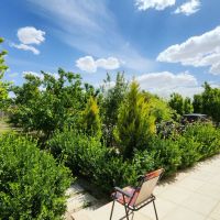 فروش-تهاتر-باغ-ویلای-1720-متری