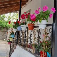 اجاره-ویلا-سوییت-دربست