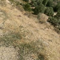 تهاطر-2100متر-2-کله-سند-تکبرگ