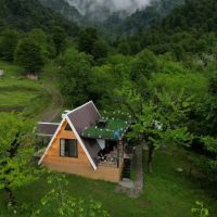 اجاره-ویلا-و-کلبه-جنگلی