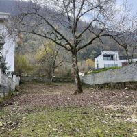 500-متر-زمین-مسکونی-با-سند6-دانگ-پای-جنگل-تو-چلک