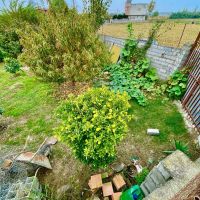 باغ-مرکبات-900-متری-دسترسی-آسان