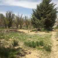 زمین-گلاب-دره