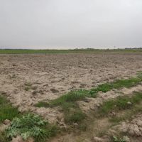 زمین-ویلا-شلیلی-شوشتر