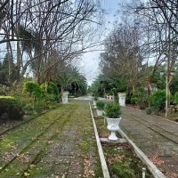 عباس-آباد-33200-متری-قابل-تهاتر-کاربری-جلگه-ای