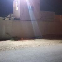 ملک-وزمین