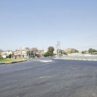 زمین-سند-تک-برگ