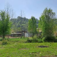 زمین-جنگلی-مسکونی-بر-دوم-جاده-اصلی