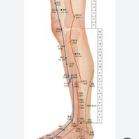 فیزیوتراپی ،طب سوزنی ،طب فیزیکی در منزل|خدمات آرایشگری و زیبایی|قم, امام|دیوار