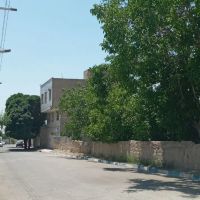 365مترباغچه-سندعرصه-و-اعیان-داخل-بافت