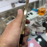 اپل iPhone 13 Pro Max ۲۵۶ گیگابایت|موبایل|تهران, اختیاریه|دیوار