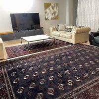 فرش اصل ترکمن|فرش|گنبد کاووس, |دیوار