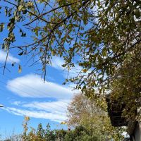 پارکینگ-اجاره-ای