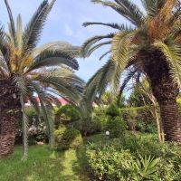 فروش-ویلا-باغ-1000متری-در-یاسمن-600متر-بنای-لوکس