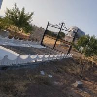 باغ-بادام-پسته-پیوندی-کورانه