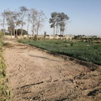 زمین-کشاورزی-در-ده-عباس