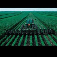 زمین-مرغوب-کشاورزی-جیرفت