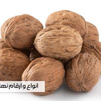 خرید مستقیم نهال از تولیدکننده، بدون واسطه|خدمات باغبانی و درختکاری|ارجمند, |دیوار