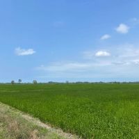 زمین-کشاورزی-در-جیر-سر-چوکام-با-دسترسی-عالی