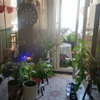 همخونه-نیازمندم