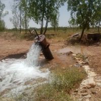 فروش-باغ-زرشک-و-پسته