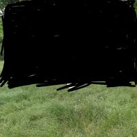 فروش-زمین-باغ-درروستای-ترخین-اباد-ملحمدر