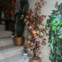 درختچه مصنوعی|گل مصنوعی|تهران, امامزاده حسن(ع)|دیوار