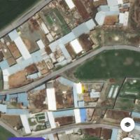 اجاره-دامداری