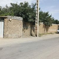 زمین-سند-تک-برگ-توس-41