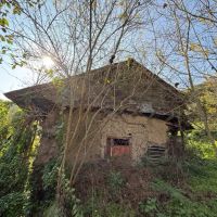 زمین-باغی-2هکتاری