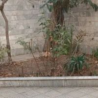 منزل-دو-خواب-حیاط-اختصاصی