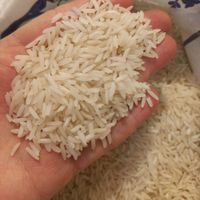 برنج طارم هاشمی|خوردنی و آشامیدنی|تهران, نظام‌آباد|دیوار