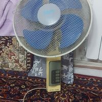 پنکه قدیمی|پنکه و تصفیه‌کنندهٔ هوا|تهران, افسریه|دیوار