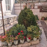 70-متر-یک-خواب-جنت-جنوب-مجرد