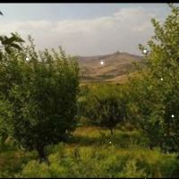 باغ-بره-جاده-قطور-نزدیک-سعلکعده
