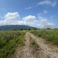 فروش-زمین-250-متری-امام-رود-سحر-دریا