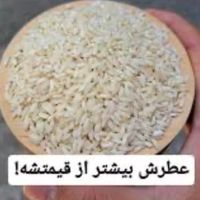 برنج عنبربو صد درصد ایرانی باطبع گرم درمانی|خوردنی و آشامیدنی|تهران, الهیه|دیوار