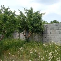 فروش-باغ-فوری