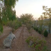 فروش-باغ-4-دیواری-معاوضه-با-خودرو-یا-باغ-آماده