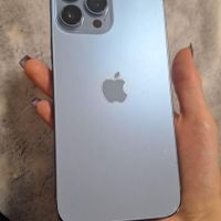 اپل iPhone 13 Pro Max ۲۵۶ گیگابایت|موبایل|تهران, امیر بهادر|دیوار