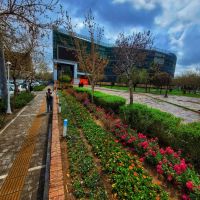 فروش-مغازه-در-پارک-بازار-طبقه-سینما