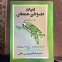 کلیات طوطی همدانی|کتاب و مجله ادبی|تهران, پیروزی|دیوار