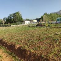 قطعه-زمین-در-گلشن-آباد