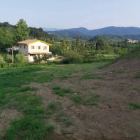 زمین-1065-متری-مسکونی-و-جنگلی-با-سند-تک-برگ