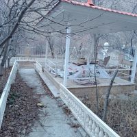 1000متر-باغ-ویلا-جاده-چالوس-روبرو-بستنی-دهاتی