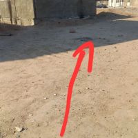 زمین-مسکونی