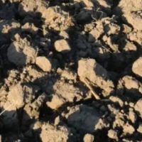 زمین-کشاورزی-اجاره